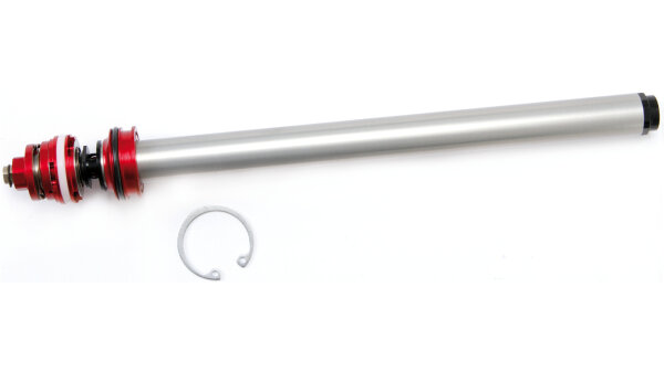 ROCKSHOX BoXXer 2010-2014 (35 mm) Zugstufe , Team/WC Mod. 2010