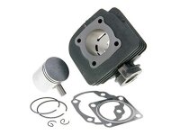 SPEC-X Zylindersatz 48 ccm, Gusseisen, ohne Zylind 10 mm...