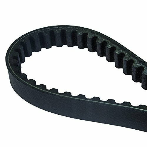 DAYCO Keilriemen "Power Plus" Verstärkt, 18 x 700 mm