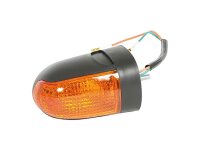 TRIOM Blinker hinten rechts