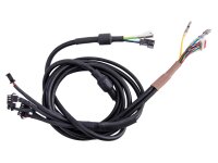 Motor-Hauptkabel ED2EX 1215/1730 mm Münster