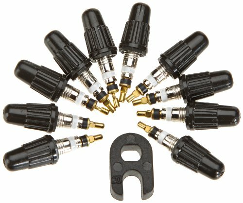 CONTINENTAL Ventileinsatz Für Sclaverandventil Packung zu 10