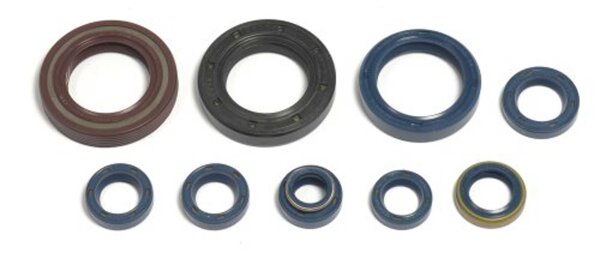 Motorsirisatz WER 125, 93-96, Athena