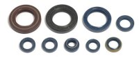 Motorsirisatz WER 125, 93-96, Athena