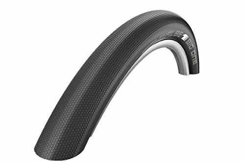 faltr.schwalbe big one evo 60-622 liteskin