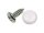 DRESSELHAUS Nummernschildschraube  Blechschraube,  4,8 x 13 mm