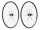 V-Rad DT Swiss RR 21  Dicut DB 28" Alu, schwarz, Center Lock 100/12mm TA