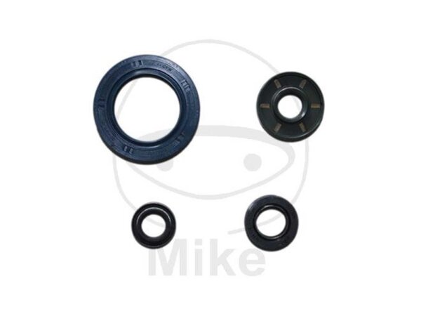 Motorsirisatz 950-990 Adventure, 02-09 Athena