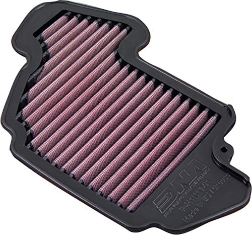 Tauschluftfilter DNA P-H1N13-01