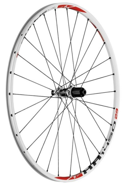 H-Rad DT Swiss XR 1450 Spline 29" Alu, weiß, für Disc, 135/10mm TA