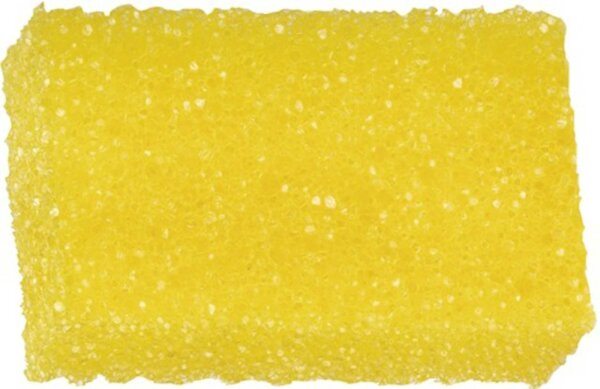 AUTOSOL Insektenschwamm Zur gründlichen  Maße: 10,5 x 6,5 x 4 cm