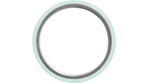 Krümmerdichtung Stelvio 1200, 08-, Athena