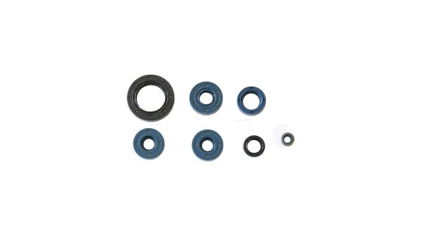 Motorsirisatz DS 650, 00-, Athena