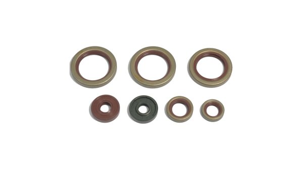 Motorsirisatz 690, 08-, Athena