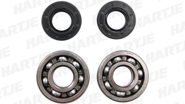 ALL BALLS RACING Kurbelwellenlagersatz Qualität un 24-1006, mit S