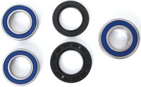 ALL BALLS RACING Radlagersatz Hochgeschwindigkeits 25-1039