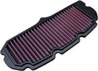 Tauschluftfilter DNA P-S13N08-01