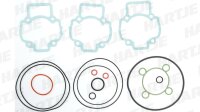 Motordichtungssatz  mit O-Ringe, A