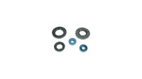 ATHENA Motorsimmerringsatz Inhalt: 5 Simm