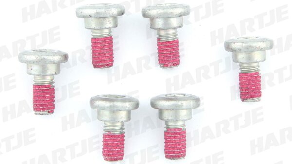 TRW Schraube Zylinderkopf, Schraubensatz für eine  6 Stück, M6x1,
