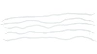 HANSELINE Putzschnur &quot;Velo Floss&quot;, Hilft