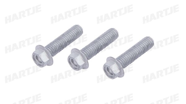 TRW Schraubensatz Sechskant, für eine Bremsscheibe 3 Stück, M8x1,