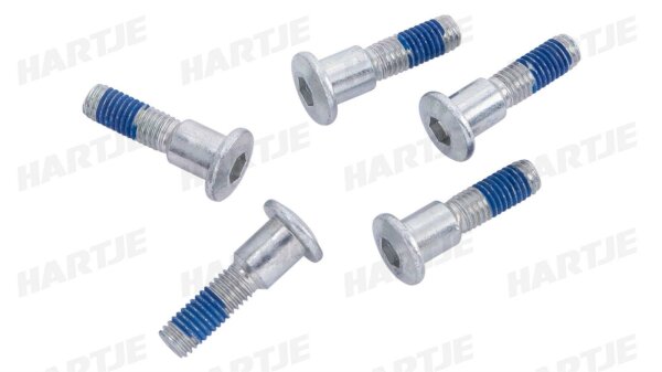 TRW Schraubensatz Satz für eine Bremsscheibe 5 Stück, M8x1,