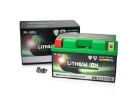 SKYRICH LiFePO4 Batterie Ersetzt folgende Blei-Säu...