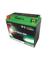 SKYRICH LiFePO4 Batterie Ersetzt folgende Blei-Säu...