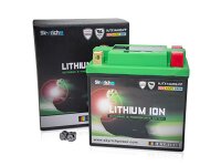 SKYRICH LiFePO4 Batterie Ersetzt folgende Blei-Säu...