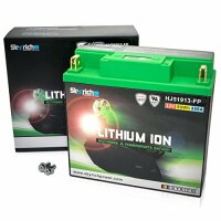 SKYRICH LiFePO4 Batterie Ersetzt folgende Blei-Säu...