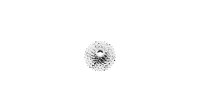 Zahnkranz-Kassette Sram PG-830 8-fach...