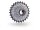 zahnkranz-kassette miche light primato 11-fach 11-32 zähne campagnolo kompatib.