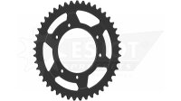 ESJOT Kettenrad "32163" 520, Stahl, schwarz 45...