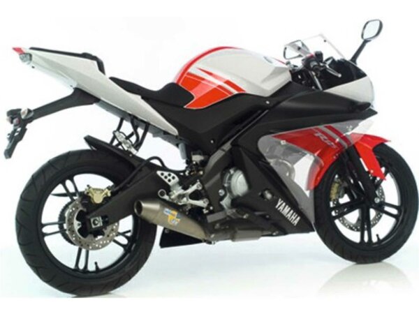 LEOVINCE Schalldämpfer "SBK GP-Style EVO 8124, Komplettanlage, ohne Katalysator, Gewicht 2,82 kg (Original 6,1 kg) Diese SBK-Anlage wurde nur homologiert und geprüft in der werksseitig ausgelieferten offenen Variante. Nur hier ist eine korrekte Wärmeablei