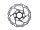 SHIMANO Bremsscheibe "SM-RT54-I" SB-verpackt, Center Lock, m
