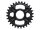SHIMANO Kettenblatt "Deore XT SM-CRM85" 4-Arm, 1x12-fach SB-
