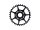 SRAM Kettenblatt SB-verpackt, X-SYNC 2, Eagle 12-fach, passe