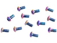 SRAM Schrauben-Set Für Bremsscheibe, Titan,...