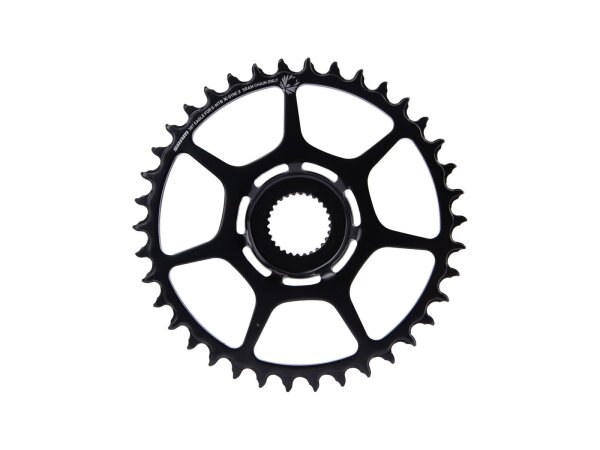 SRAM Kettenblatt SB-verpackt, X-SYNC 2, Eagle 12-fach, passe