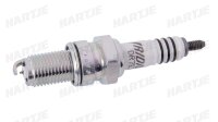 NGK Zündkerze Gruppe D, Gewindedurchmesser 12 mm...