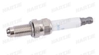 NGK Zündkerze Gruppe M, Gewindedurchmesser 10 mm,...