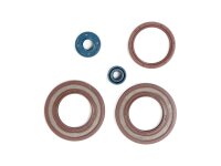 Motorsirisatz TE/TC 350/400/510/570/610 Athena