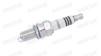 NGK Zündkerze Gruppe D, Gewindedurchmesser 12 mm...