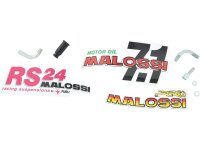 MALOSSI Rennvergaser, 19-25mm, sind empfehlenswe