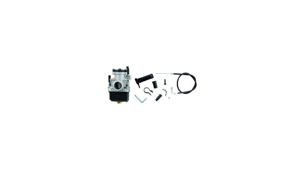 MALOSSI Rennvergaser 19-25 mm, sind empfehlenswert Rennvergaser,