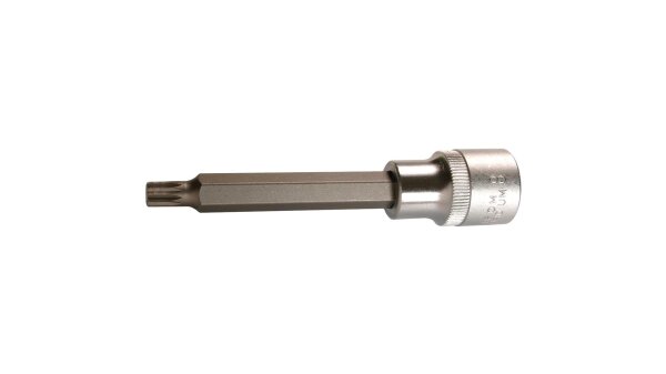 SW-STAHL Schraubendrehereinsatz, 1/2", T-Profil 