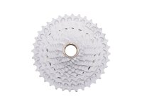 CAMPAGNOLO Kassettenzahnkranz "Ekar 13s"...