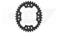 ESJOT Kettenrad "32123" 520, Stahl, schwarz 40...