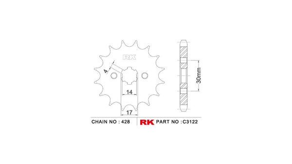 RK Antriebsritzel "3122" 428, Stahl 15 Zähne